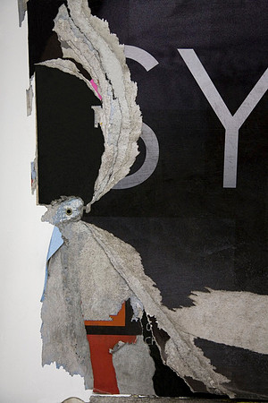birdy